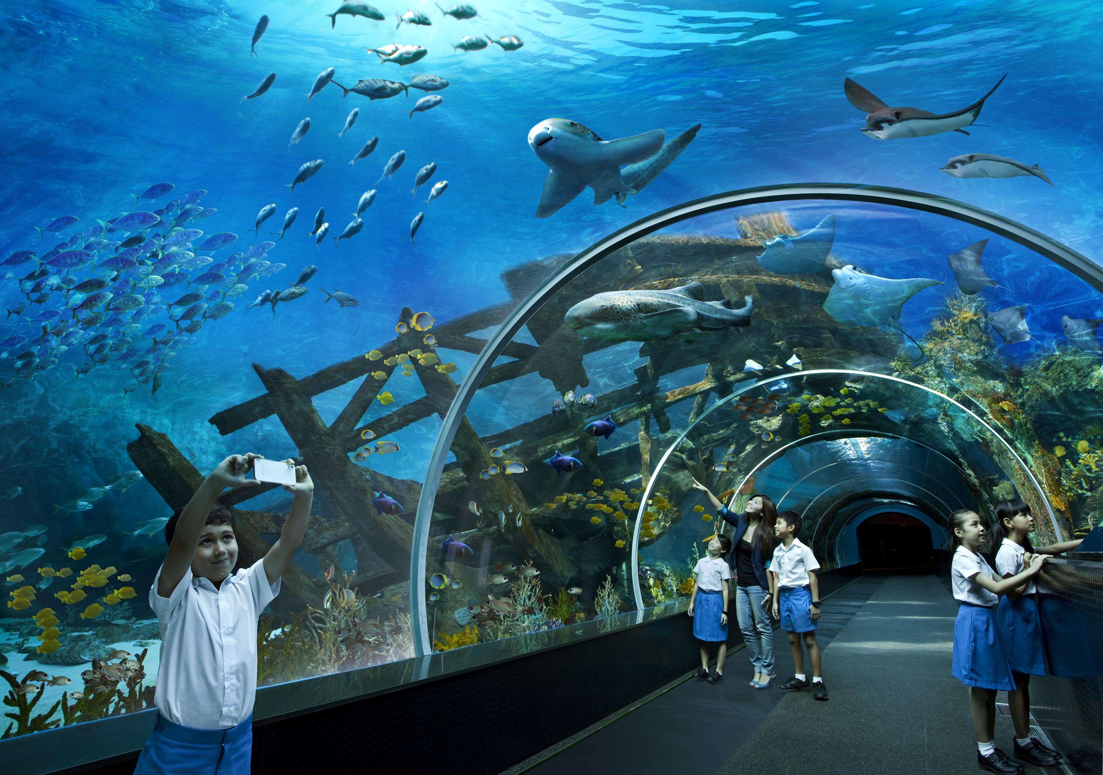 Resorts World Sentosa - Crockfords Tower Singapore Eksteriør billede